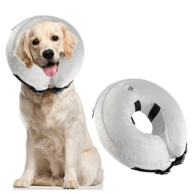 Inflatable Pet Collars for Comfort and Protection