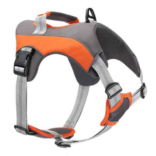 Reflective Dog Leashes and Chest Straps for Pets