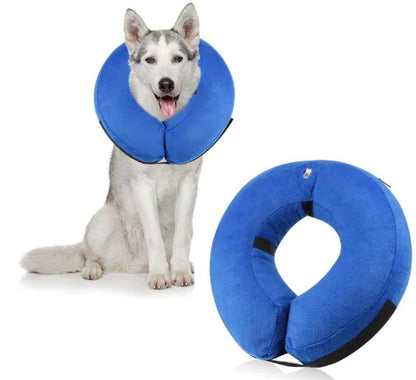 Inflatable Pet Collars for Comfort and Protection