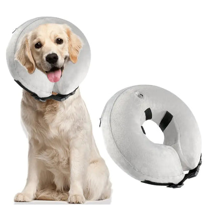 Inflatable Pet Collars for Comfort and Protection