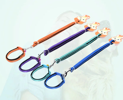 Nylon Cotton Leashes for Small to Medium Dogs