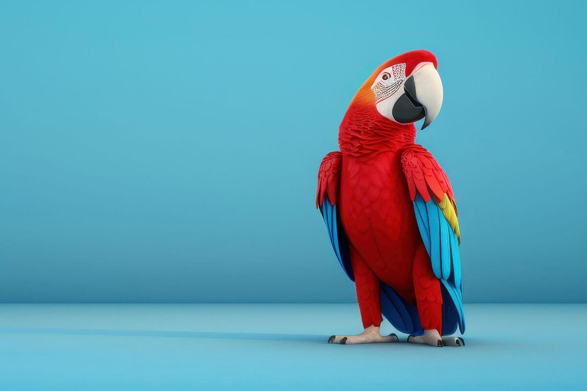 Parrot on blue background.