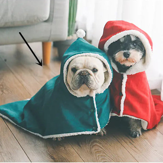 Pet Blanket and Fleece Warm Sleeping Bag Combo